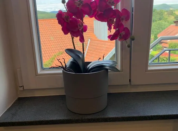 Apartamento Freiraum *